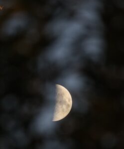 vzdelavanie-financie-ekonomika-podnikanie-2649