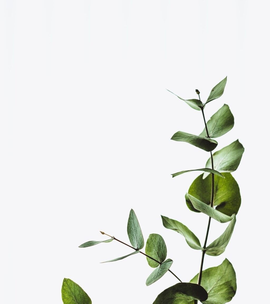 vzdelavanie-financie-ekonomika-podnikanie-2650