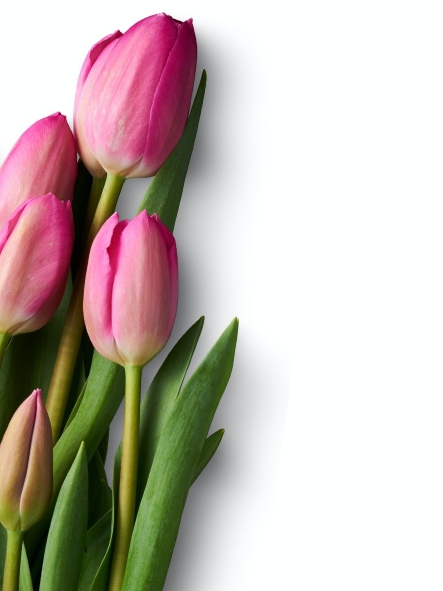 vzdelavanie-financie-ekonomika-podnikanie-2652