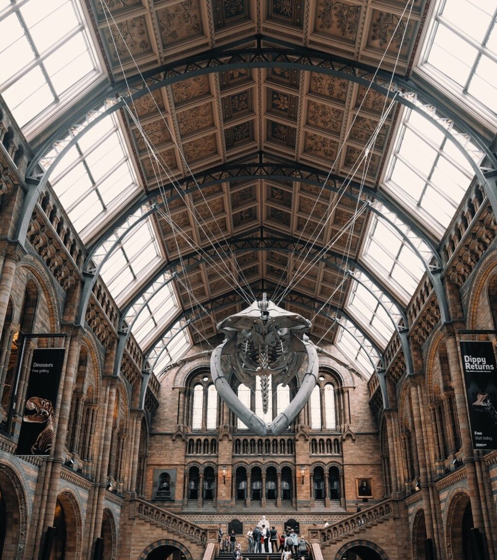 vzdelavanie-financie-ekonomika-podnikanie-2659