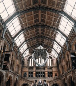 vzdelavanie-financie-ekonomika-podnikanie-2659