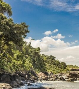 vzdelavanie-financie-ekonomika-podnikanie-2718