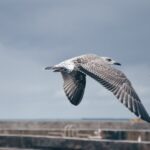 vzdelavanie-financie-ekonomika-podnikanie-274