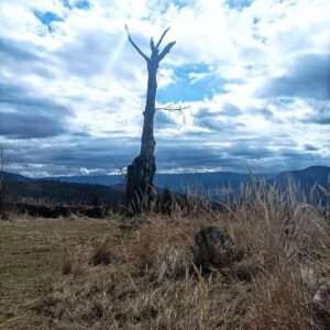 vzdelavanie-financie-ekonomika-podnikanie-323