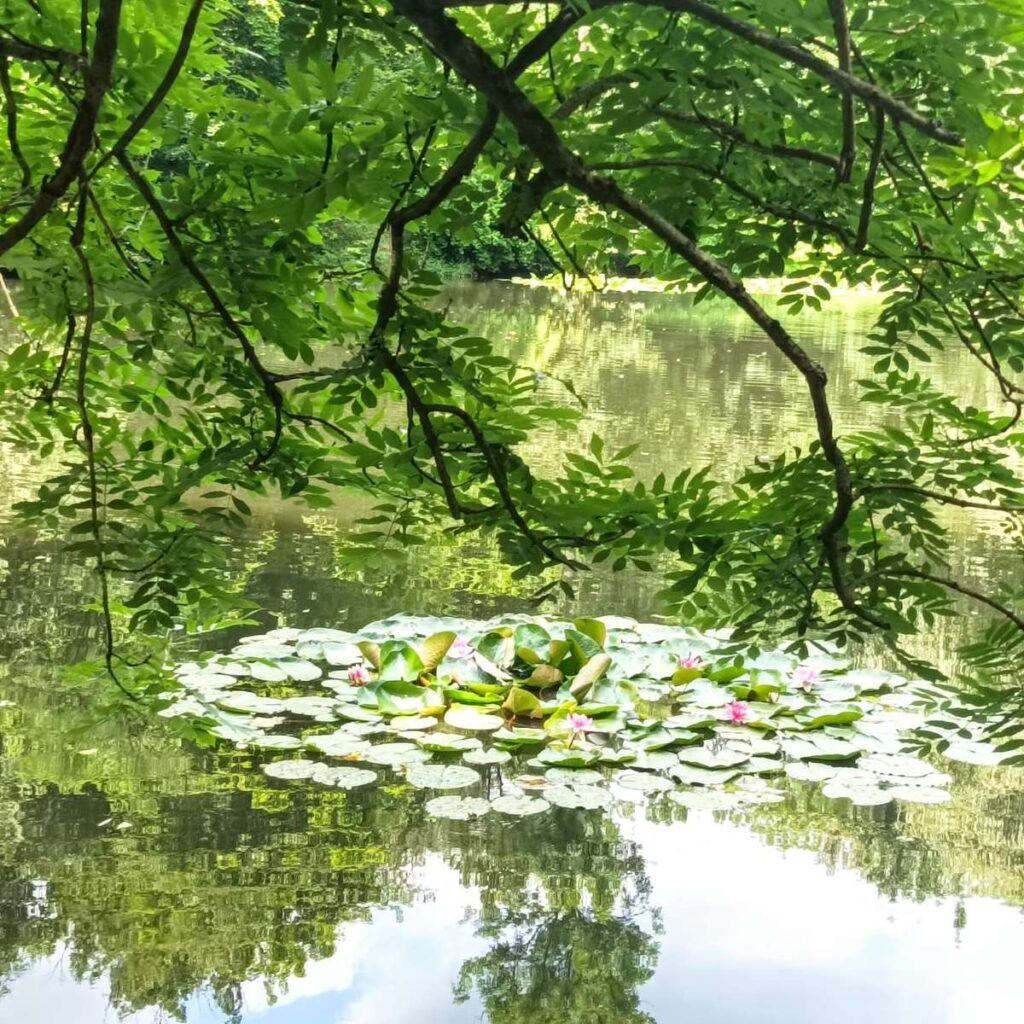 vzdelavanie-financie-ekonomika-podnikanie-331