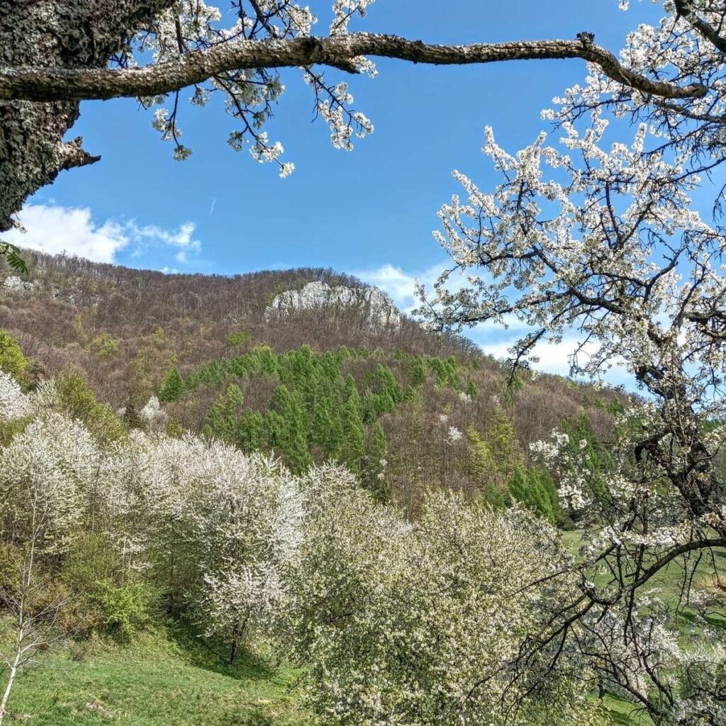 vzdelavanie-financie-ekonomika-podnikanie-335