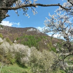 vzdelavanie-financie-ekonomika-podnikanie-335