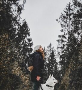 vzdelavanie-financie-ekonomika-podnikanie-343