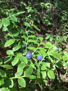 vzdelavanie-financie-ekonomika-podnikanie-349