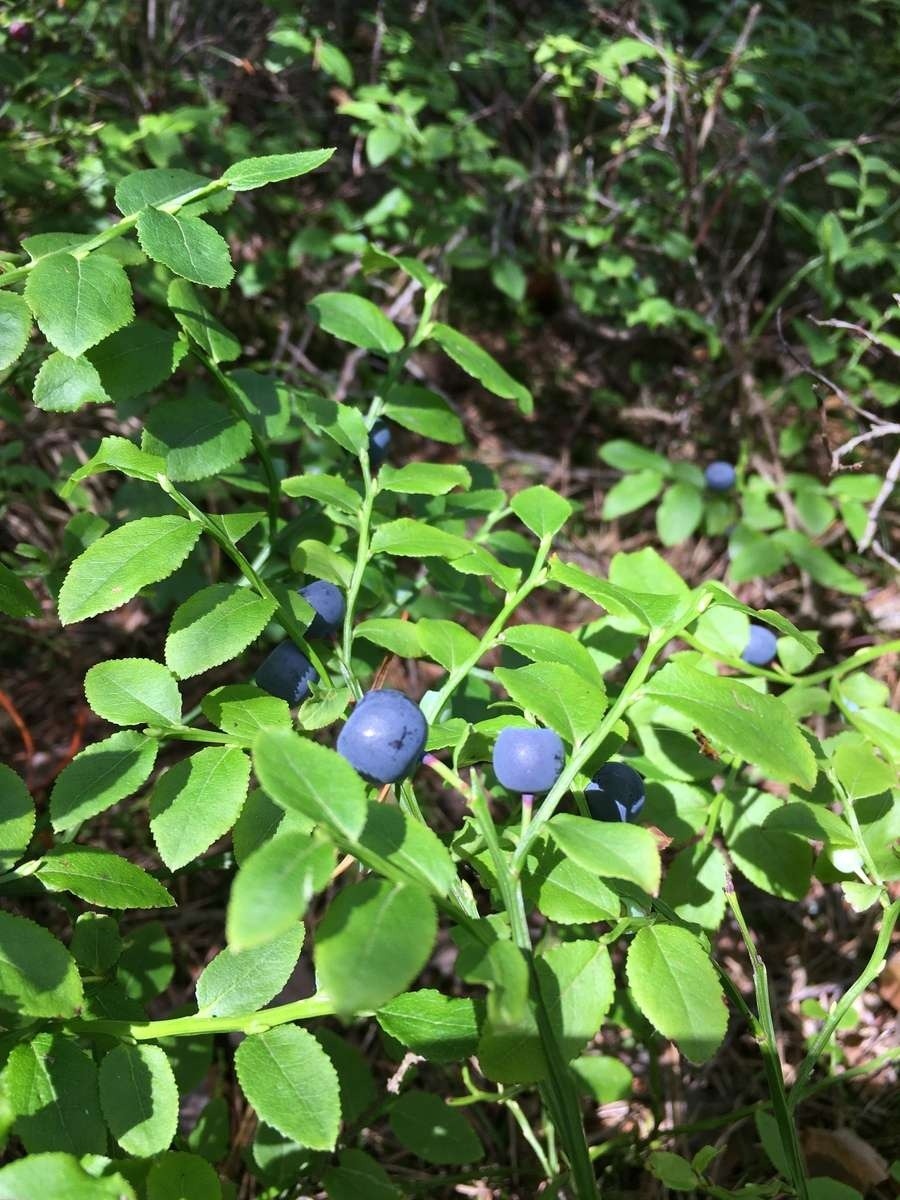 vzdelavanie-financie-ekonomika-podnikanie-349