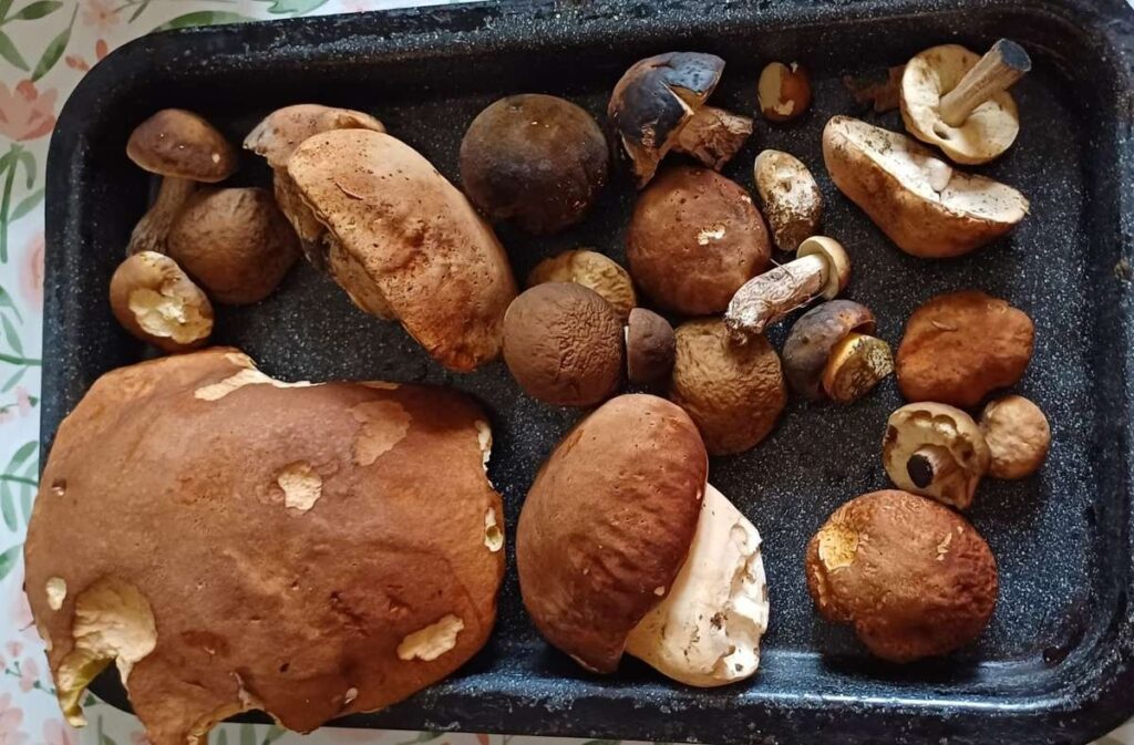 vzdelavanie-financie-ekonomika-podnikanie-357