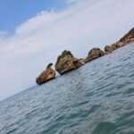 vzdelavanie-financie-ekonomika-podnikanie-484