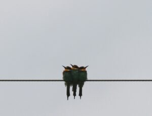 vzdelavanie-financie-ekonomika-podnikanie-547