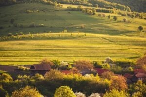 vzdelavanie-financie-ekonomika-podnikanie-551