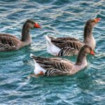 vzdelavanie-financie-ekonomika-podnikanie-580