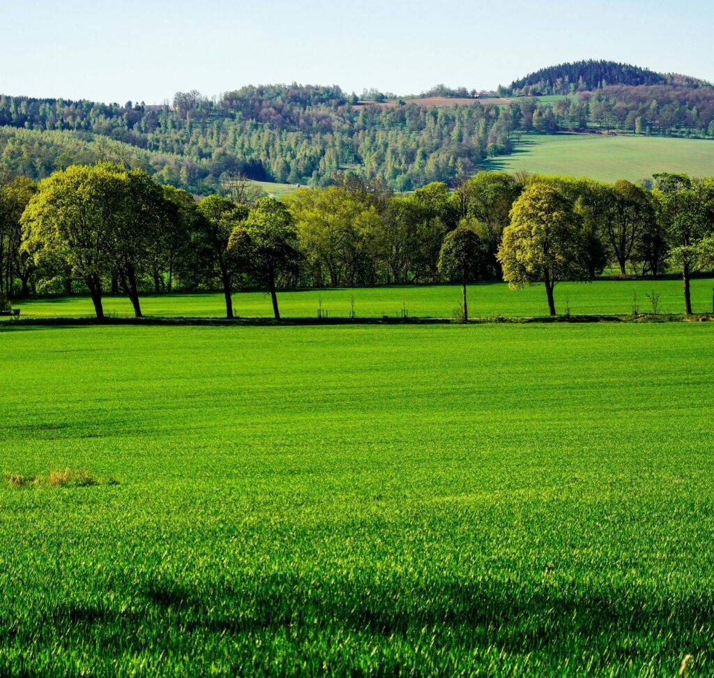 vzdelavanie-financie-ekonomika-podnikanie-608