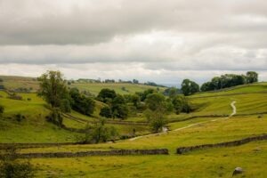 vzdelavanie-financie-ekonomika-podnikanie-617