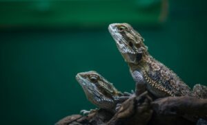 vzdelavanie-financie-ekonomika-podnikanie-628