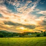 vzdelavanie-financie-ekonomika-podnikanie-659