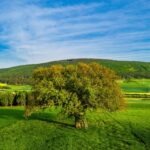 vzdelavanie-financie-ekonomika-podnikanie-669