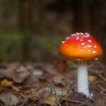 vzdelavanie-financie-ekonomika-podnikanie-679