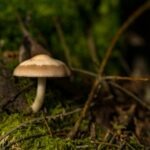 vzdelavanie-financie-ekonomika-podnikanie-710