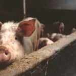 vzdelavanie-financie-ekonomika-podnikanie-763