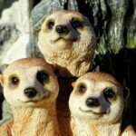 vzdelavanie-financie-ekonomika-podnikanie-767