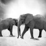 vzdelavanie-financie-ekonomika-podnikanie-825