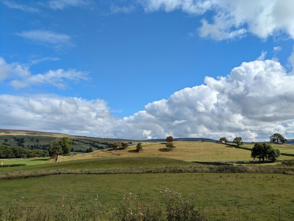 vzdelavanie-financie-ekonomika-podnikanie-989