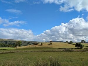 vzdelavanie-financie-ekonomika-podnikanie-989