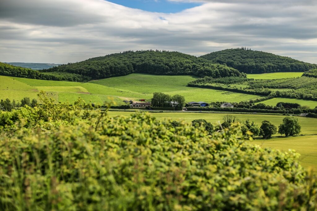 vzdelavanie-financie-ekonomika-podnikanie-995