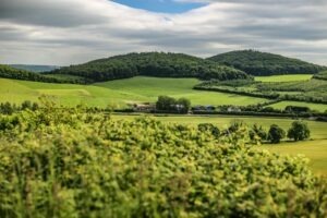 vzdelavanie-financie-ekonomika-podnikanie-995