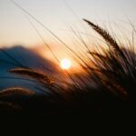 Príklad efektívnych platobných systémov v digitálnej ekonomike