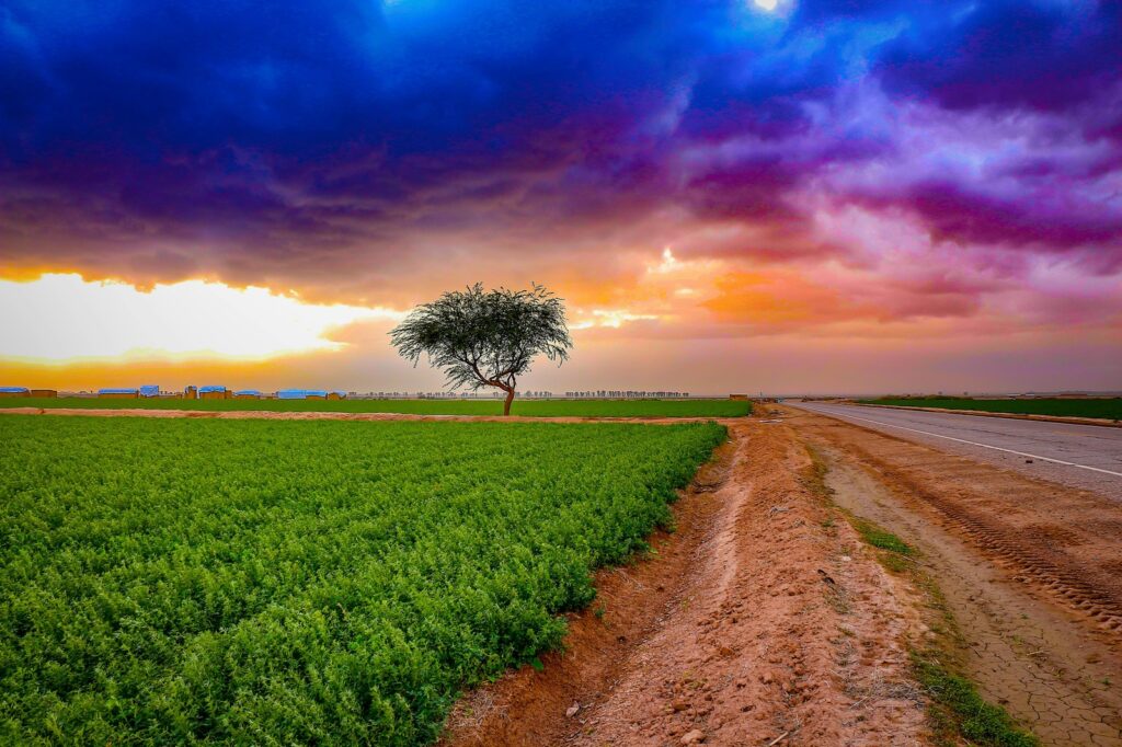 Slovenské hospodárstvo