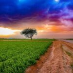 Slovenské hospodárstvo