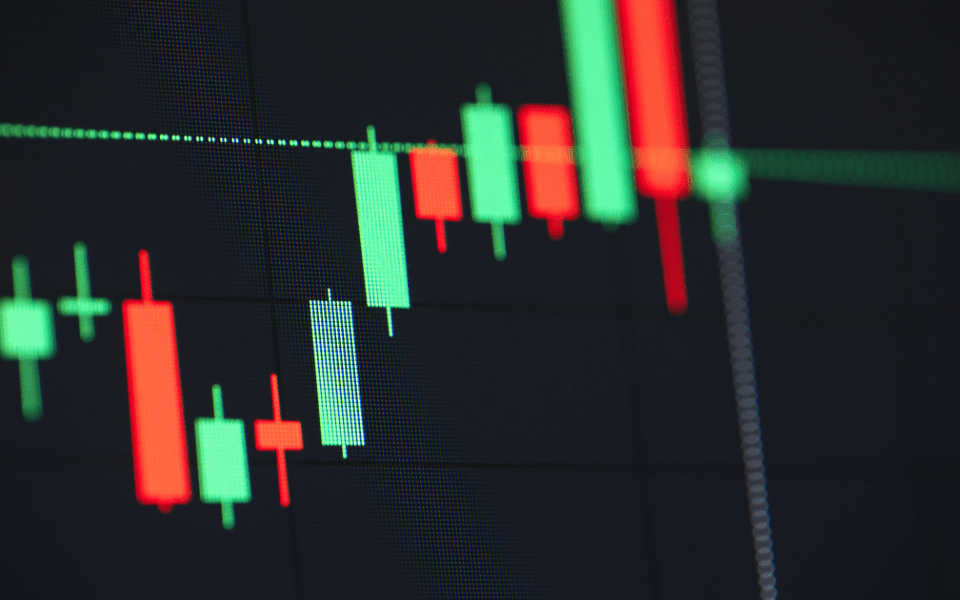 1098695440_wp69ea89900f2b08.28398902